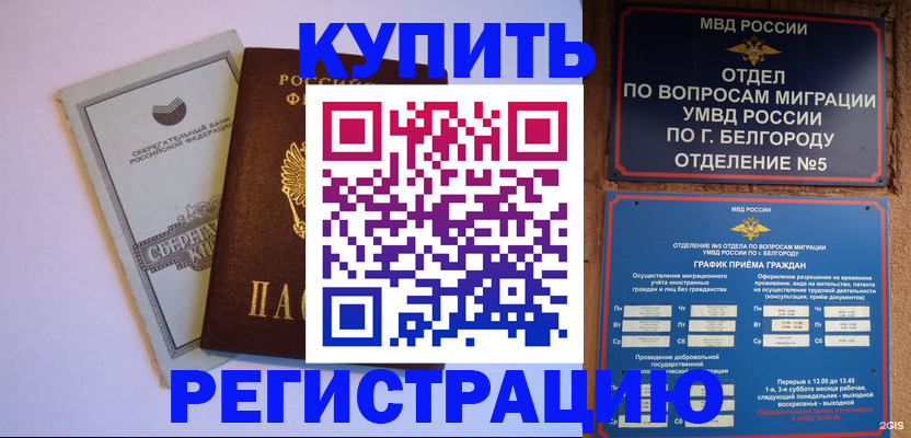 прописка гарантия в Луге